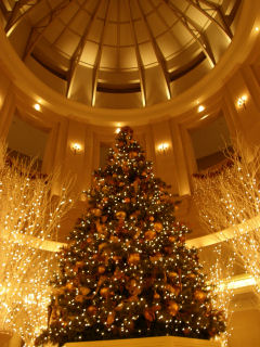 ホテル グランパシフィック メリディアンのクリスマスツリー2007