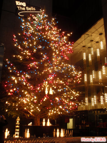2008年のミキモトのクリスマスツリー
