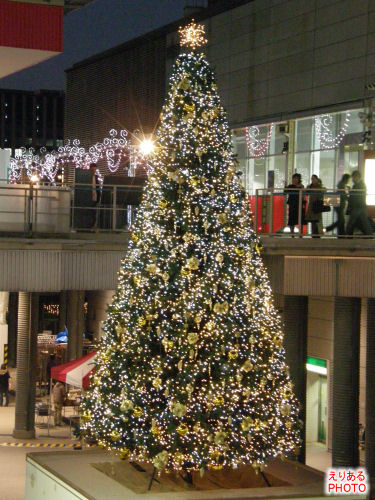 パレットタウンクリスマスツリー2009