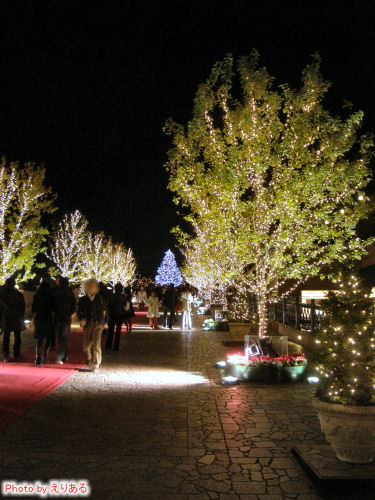 センター広場からクリスマスツリー方向を見る