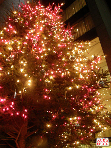2009年のミキモトのクリスマスツリー