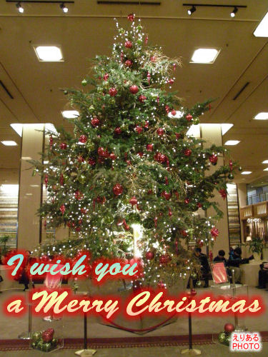2009年帝国ホテルのクリスマスツリー