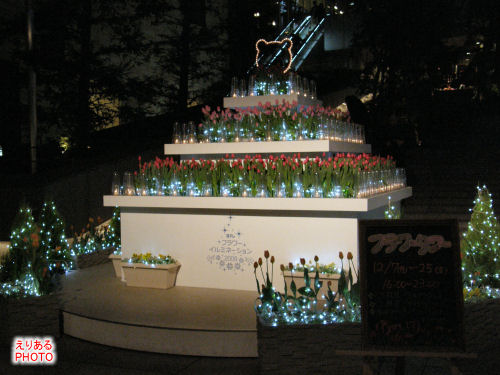 2009年日テレのクリスマスイルミネーション＆フラワータワー