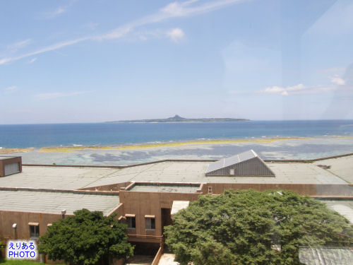 沖縄美ら海水族館から見た伊江島
