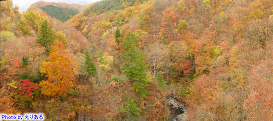 中津川橋から紅葉に彩られた中津川渓谷を望む