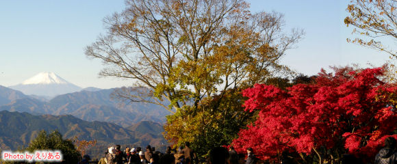 高尾山山頂から見た富士山と、山頂の紅葉