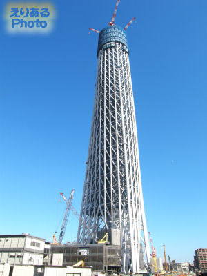 274mの東京スカイツリー(2010年1月24日撮影)