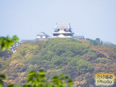 伊佐爾波神社から松山城
