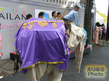 タイ・フェスティバル2010