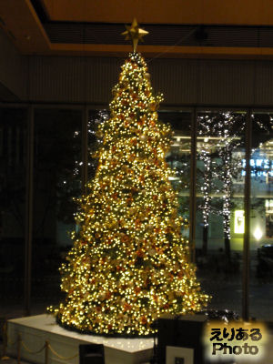 2010年丸ビルクリスマスツリー
