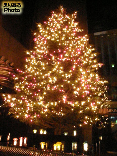 2010年のミキモトのクリスマスツリー