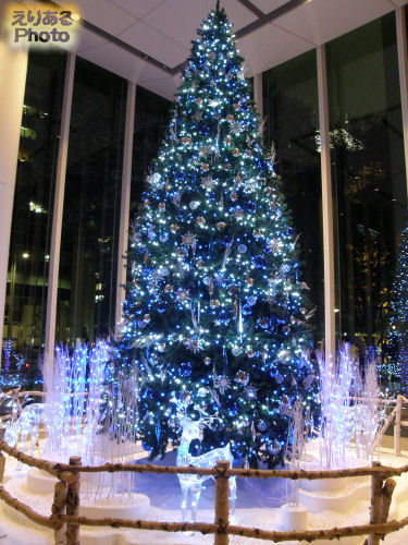 2010年のパシフィックセンチュリープレイス丸の内のクリスマスツリー