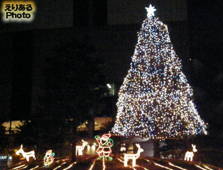 2010年ホテルニューオータニのクリスマスツリーイルミネーション