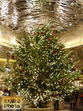 有楽町イトシアのクリスマスツリー