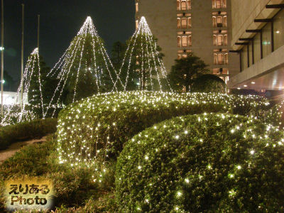 帝国ホテルのクリスマスイルミネーション2010