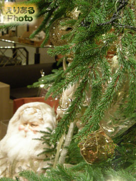 帝国ホテルのクリスマスツリー2010