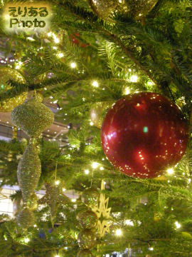 ストラスブールのマルシェ・ド・ノエル2010・クリスマスツリー