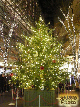 ストラスブールのマルシェ・ド・ノエル2010・クリスマスツリー