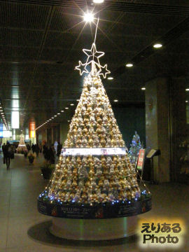 東京国際フォーラムのクリスマスツリー