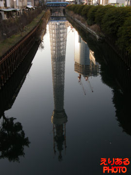 東京スカイツリーは５３９ｍ＠十間橋