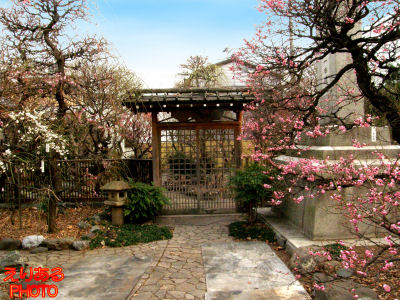小村井香取神社 香梅園