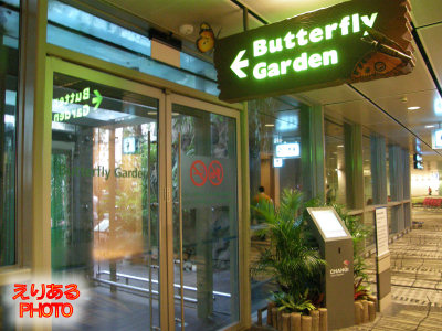 シンガポール・チャンギ空港　バタフライガーデン（Butterfly Garden）入口