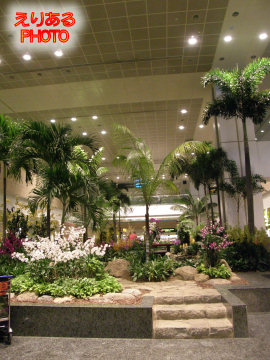 シンガポール・チャンギ空港 ターミナル２ ガーデン