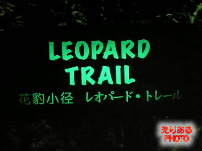 LEOPARD TRAIL（レオパードトレール）＠ナイトサファリ（Ninght Safari)