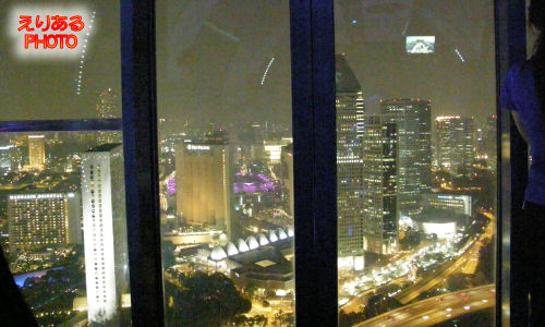 シンガポールフライヤーからの夜景