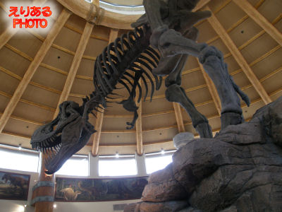 ディスカバリー・フードコート（Discovery Food Court）の恐竜の化石＠ユニバーサル・スタジオ・シンガポール（Universal Studios Singapore）