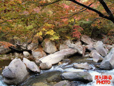 御嶽昇仙峡の紅葉と松茸石
