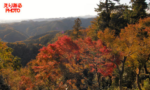 高尾山１号路展望台近くから眼下の紅葉を望む