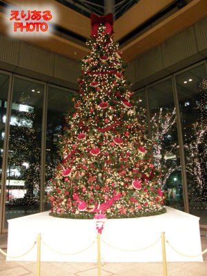2011年丸ビルクリスマスツリー