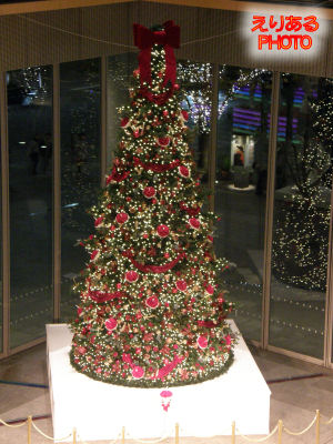 Marunouchi Bright Christmas 2011＠丸ビル