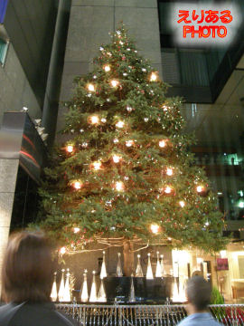 ミキモト ジャンボクリスマスツリー２０１１