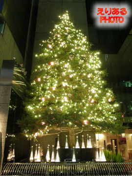 ミキモト ジャンボクリスマスツリー２０１１