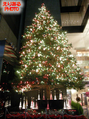2011年のミキモトのクリスマスツリー