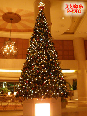 2011年ホテル日航東京のクリスマスツリー