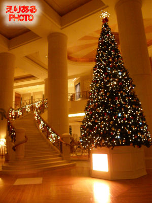 ホテル日航東京のクリスマスツリー2011