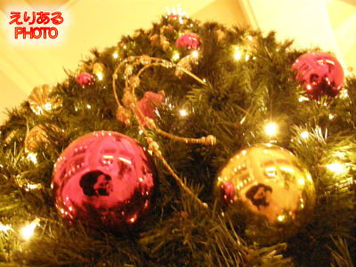 2011年ホテル日航東京のクリスマスツリー