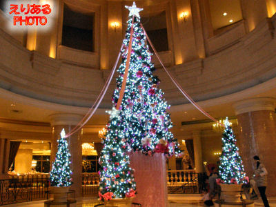 GRAND PACIFIC LE DAIBA CHRISTMAS 2011 クリスマスツリー