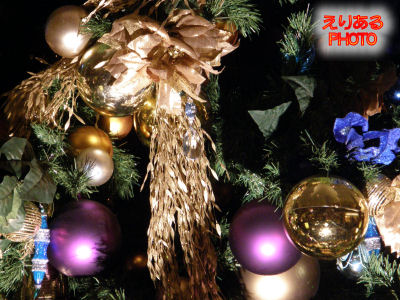 2011年ヒルトン東京のクリスマスツリー