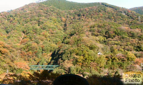 箱根登山鉄道からの風景・紅葉