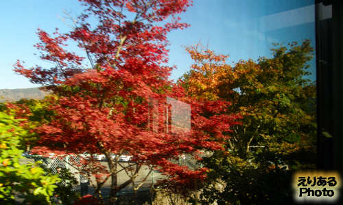 箱根登山ケーブルカーからの風景・紅葉