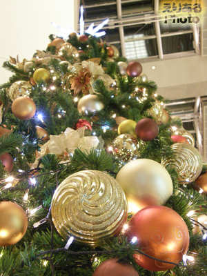 クリスマスツリー2013＠ミューザ川崎