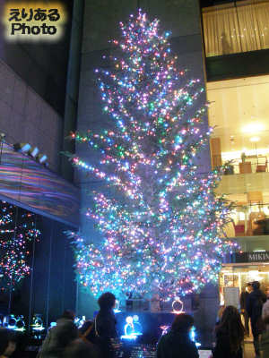 2013年のミキモトのクリスマスツリー