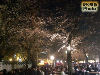 靖国神社の桜２０１４