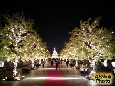 恵比寿ガーデンプレイス2014 クリスマスイルミネーション