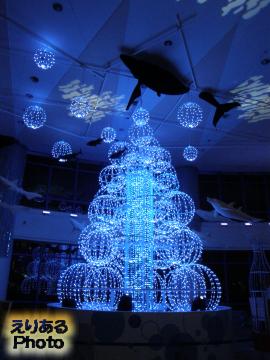 AQUA XMAS2014～きっと伝わる音と光のベイサイドクリスマス～