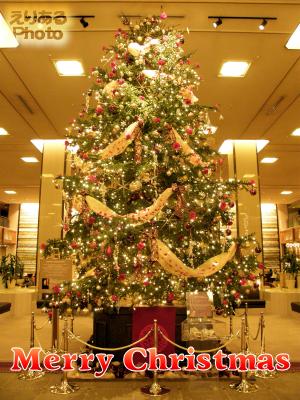 Merry Christmas 2014 帝国ホテルのクリスマスツリー